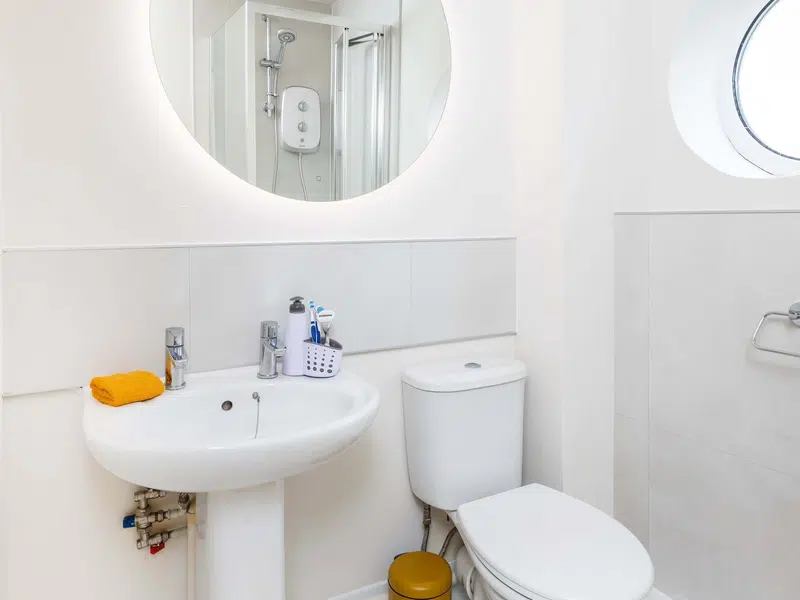 Ensuite Silver photo 6