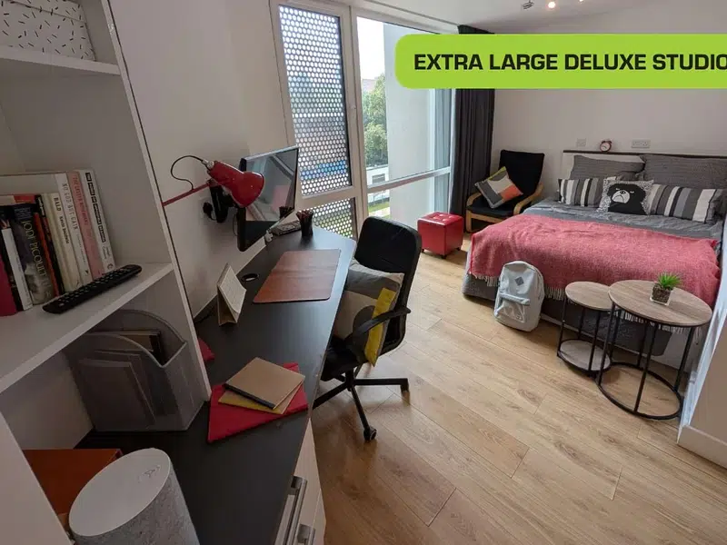 Extra Large Deluxe Studio photo 1