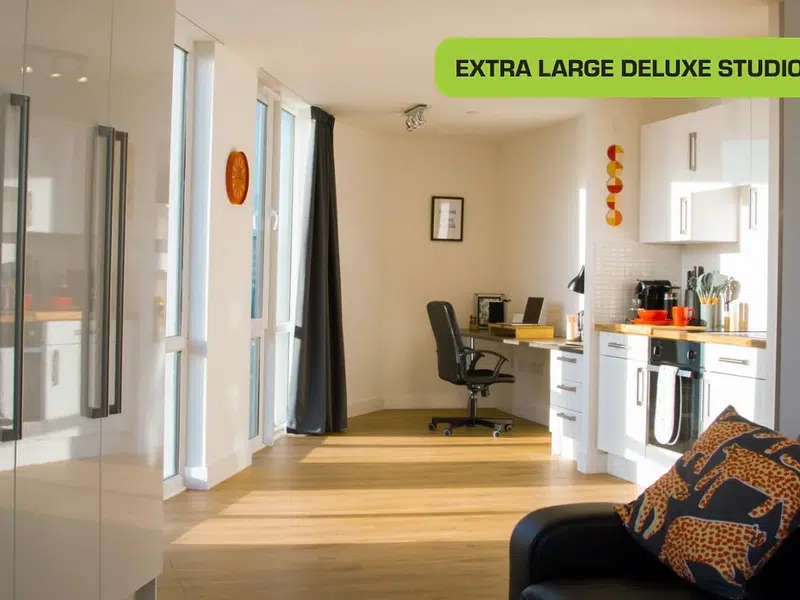 Extra Large Deluxe Studio photo 5