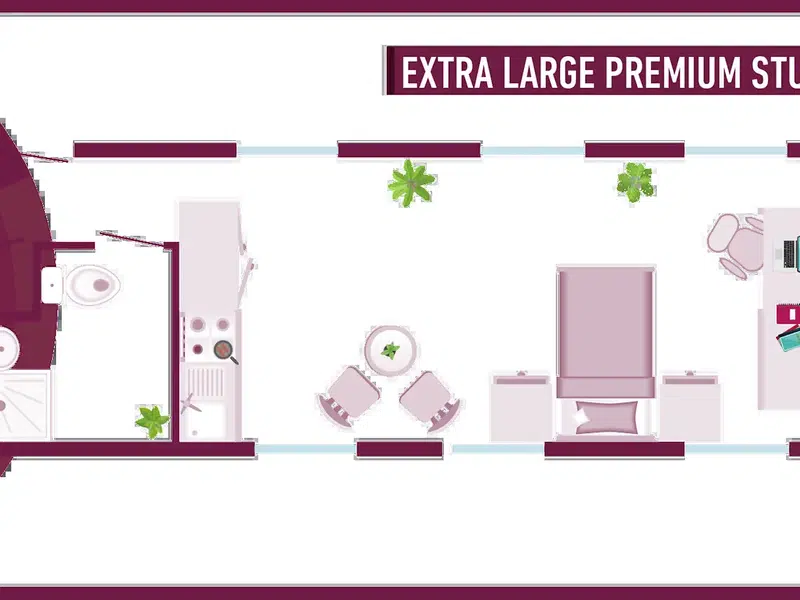 Extra Large Premium Studio photo 2