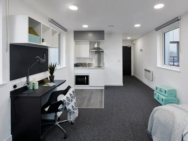 Extra Large Premium Studio photo 1