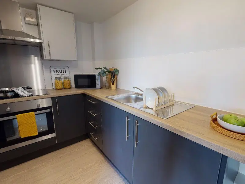 Gold Duplex Studio photo 3