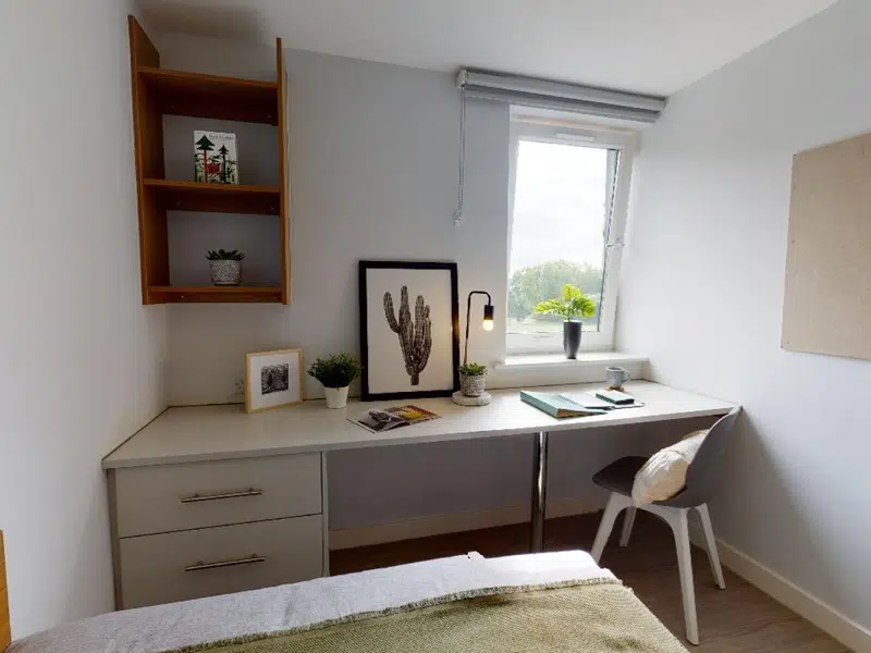 Gold En Suite photo 2
