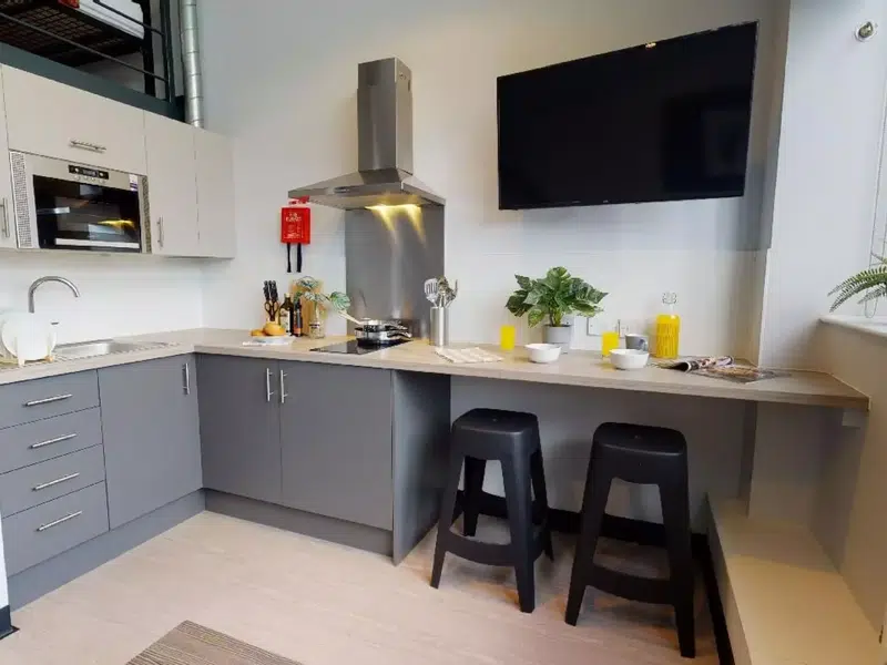 Bronze Duplex Studio photo 4