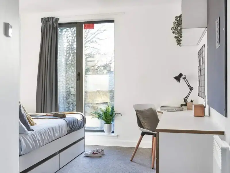 Gold En-suite photo 2