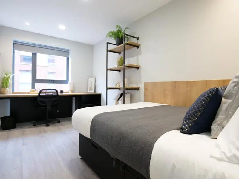 Gold En-suite photo 2
