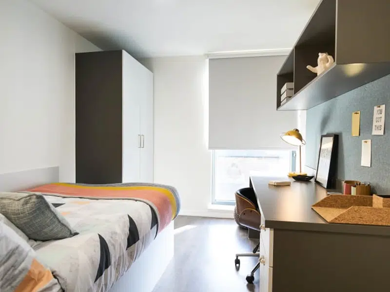 Gold Plus En Suite photo 1