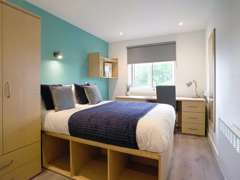 Gold Plus Ensuite photo 2