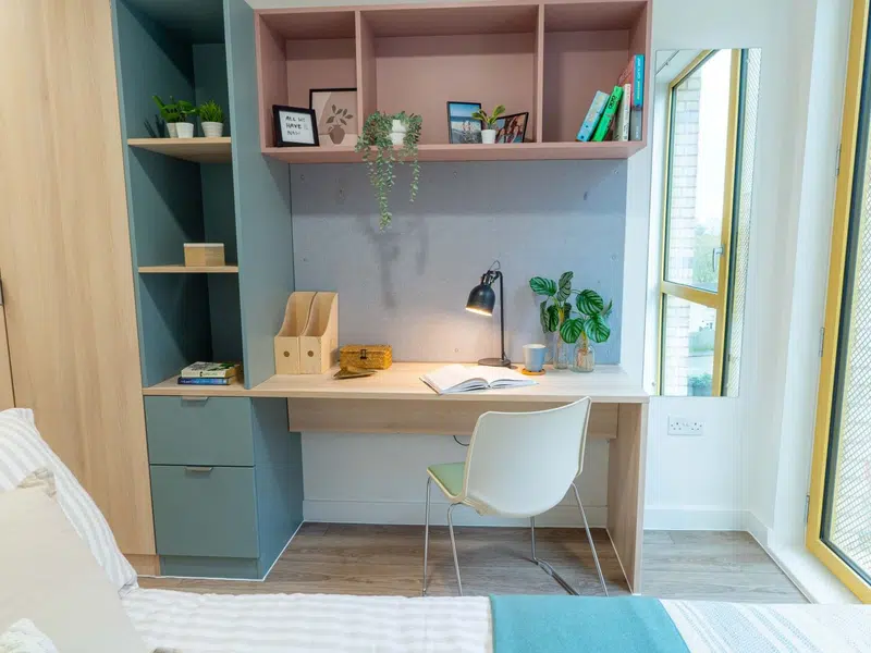 Gold Plus Ensuite photo 4
