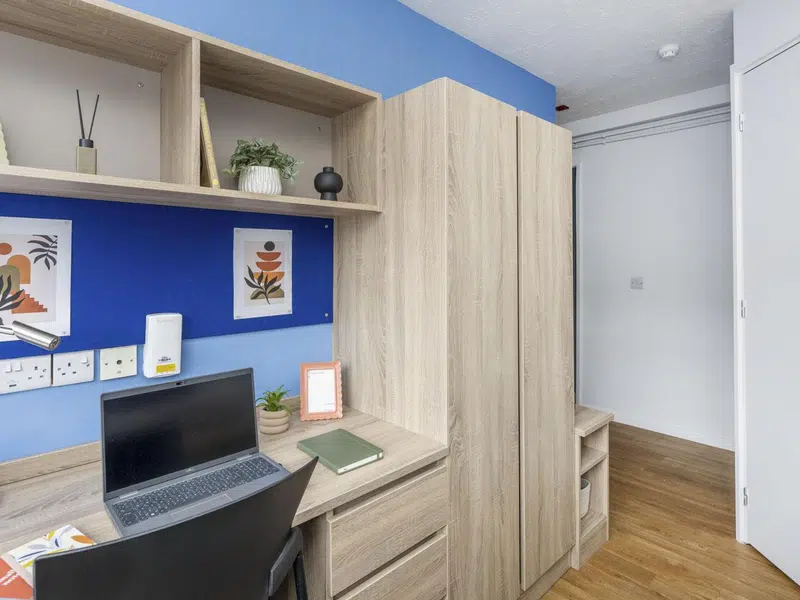 Gold Plus Room photo 3