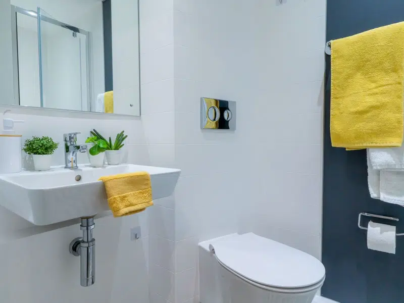 Silver Ensuite Plus photo 5