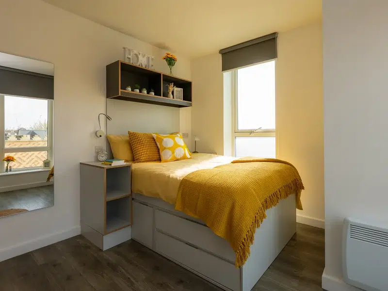 Gold Shared House photo 1