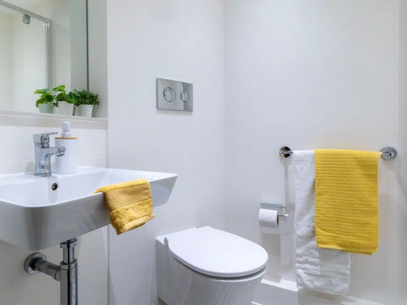 Silver Ensuite photo 6