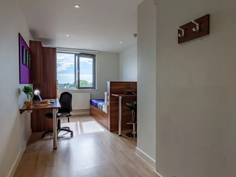Standard Studio Plus photo 2