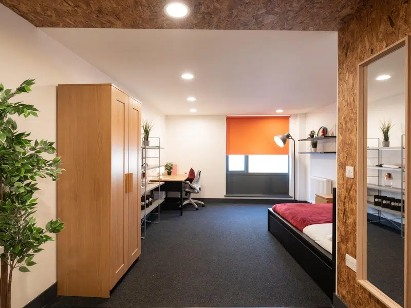 Gold Studio Deluxe photo 3