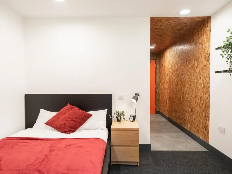 Gold Studio Deluxe photo 1