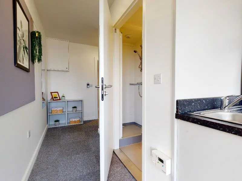 Gold Studio Plus photo 4