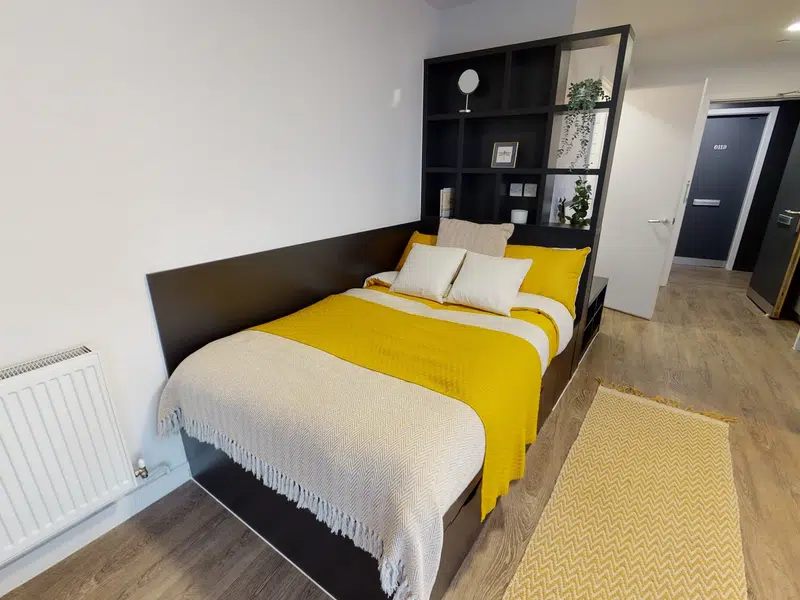 Gold Studio Plus photo 1