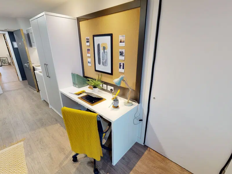 Gold Studio Plus photo 6