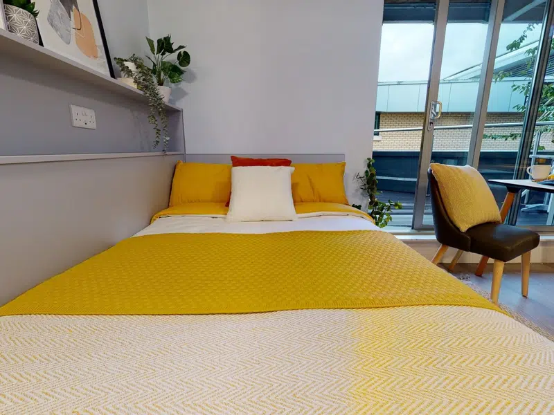 Gold Studio Plus photo 6