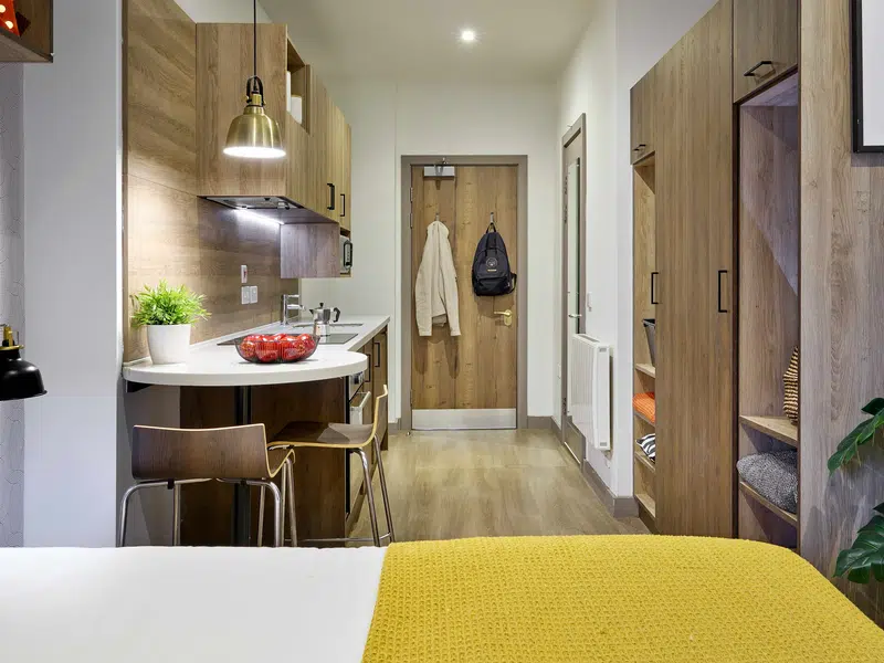 Gold Studio Terrace photo 1