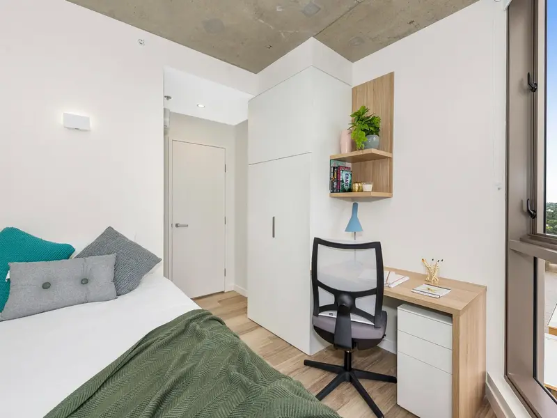Shared Apartment- King Single Bed with 4 Bed Apartment photo 1