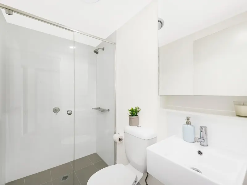 Shared Apartment- King Single Bed with 4 Bed Apartment photo 6