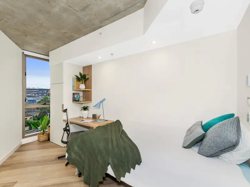 Shared Apartment- King Single Bed with 4 Bed Apartment photo 5