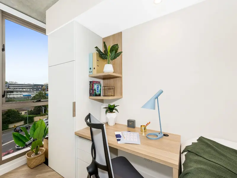 Shared Apartment- King Single Bed with 4 Bed Apartment photo 2