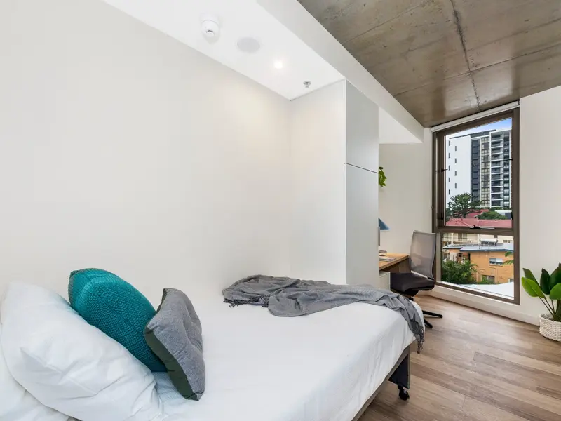 Shared Apartment- King Single Bed with 6 Bed Apartment photo 1