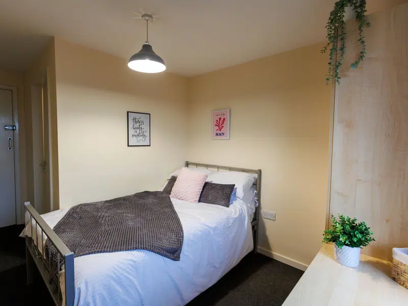 Large 2 bed Apartment photo 1