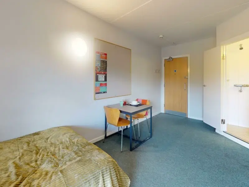 Large Ensuite Studio photo 2