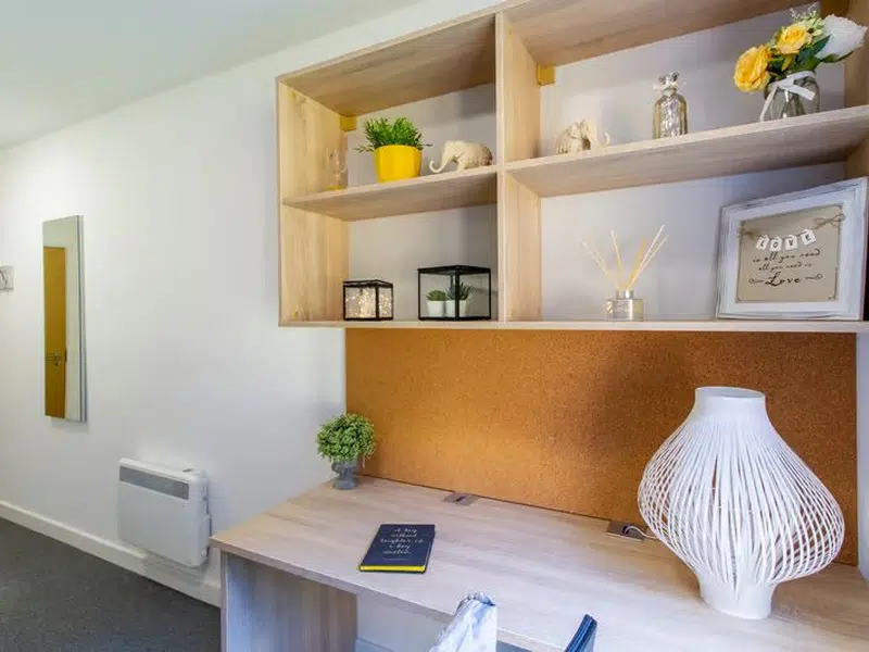 Large Premium En-suite photo 3