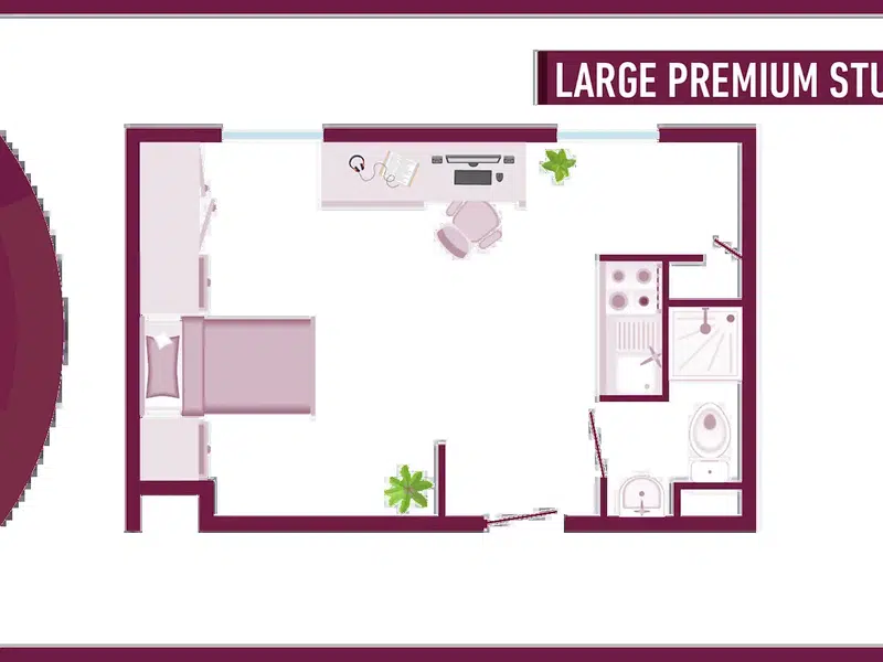 Large Premium Studio photo 6