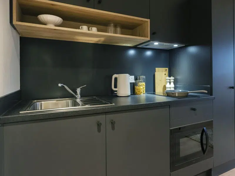 Large Premium Studio photo 6