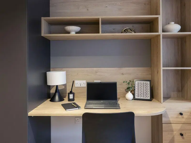 Large Premium Studio photo 5