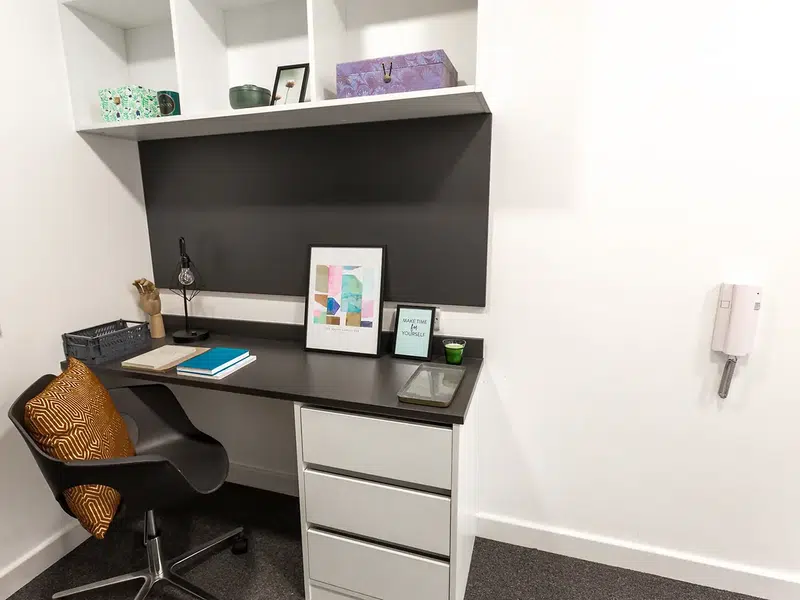 Large Premium Studio Accessible photo 2