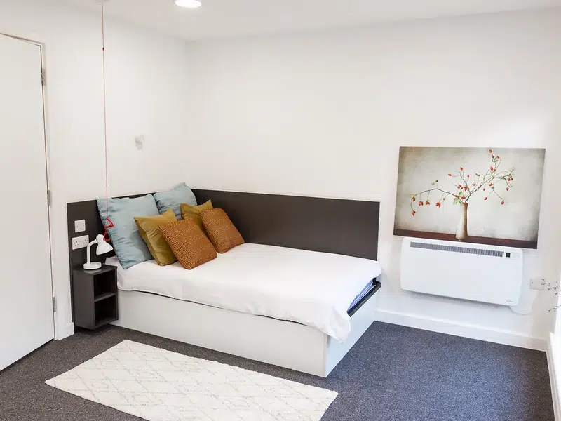 Large Premium Studio Accessible photo 1