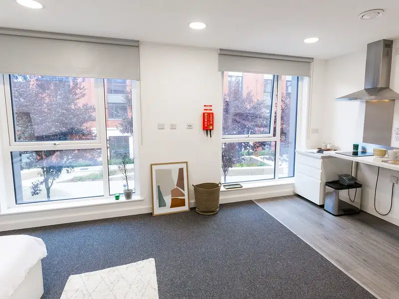 Large Premium Studio Accessible photo 3