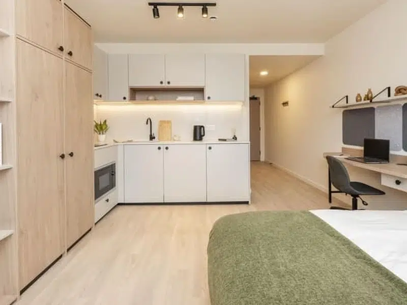 Large Premium Studio Dual Occupancy photo 3