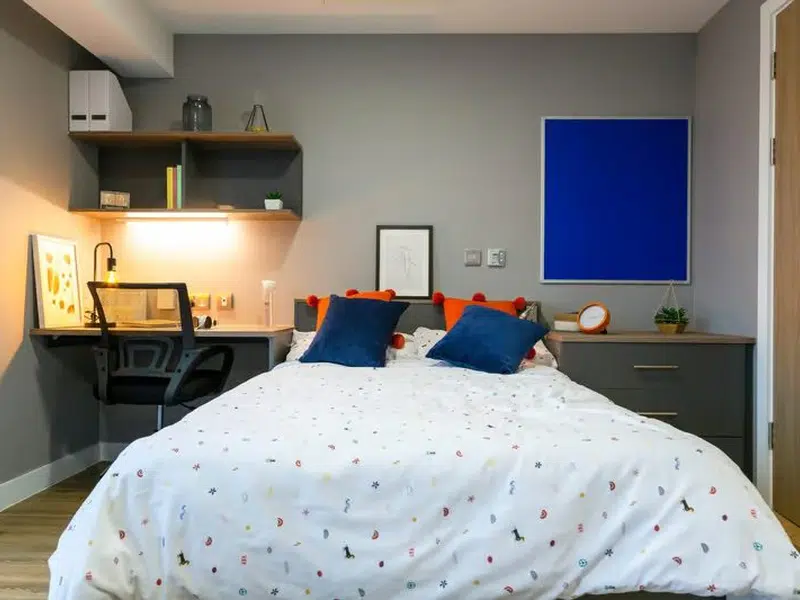 Large Studio Accessible photo 1