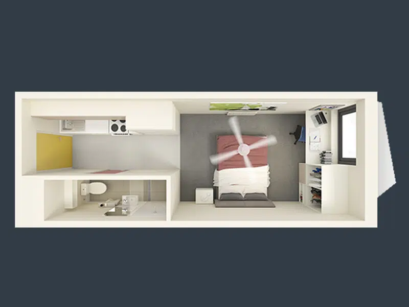 Large Studio Apartment photo 4