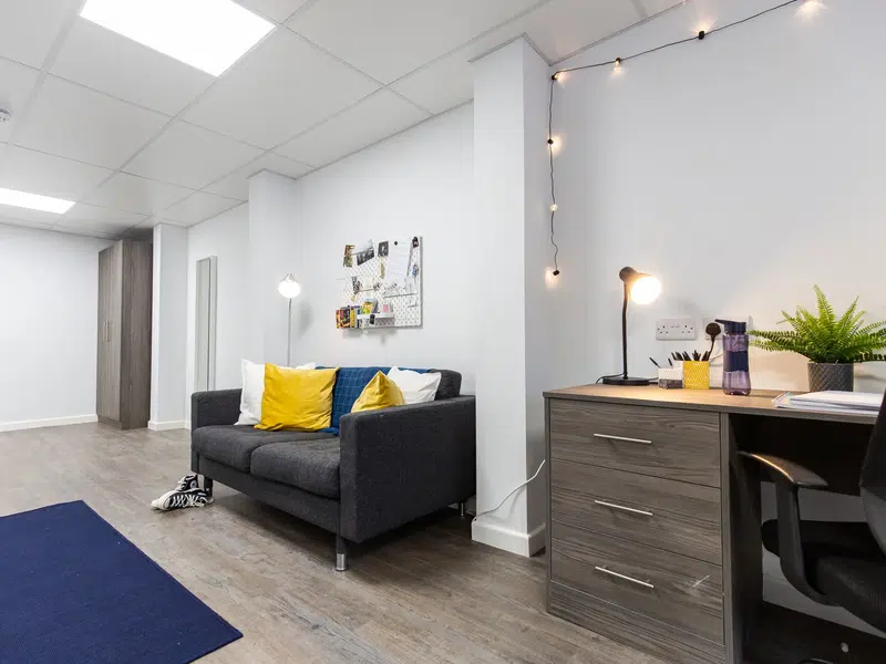 Large Suite photo 3