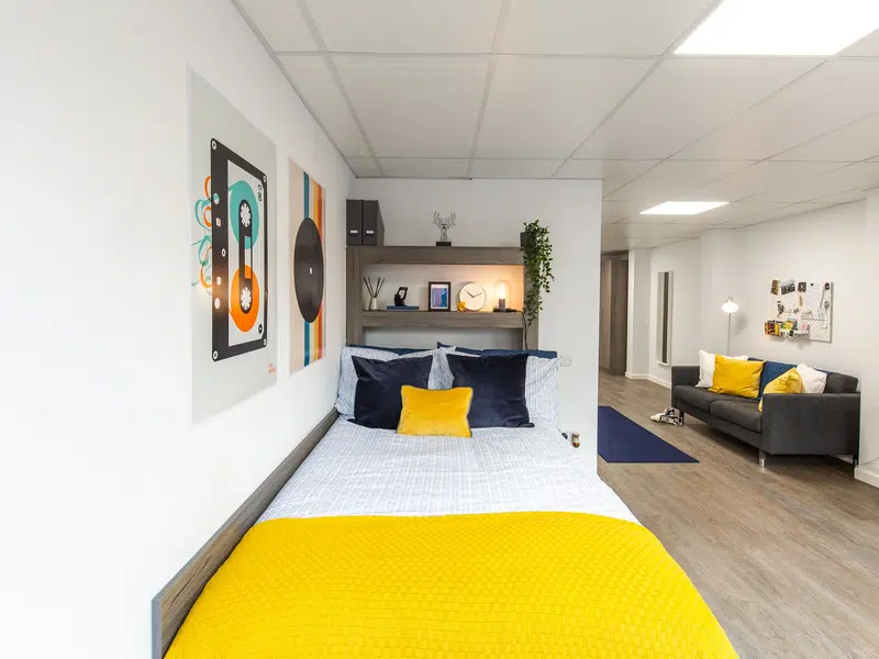 Large Suite photo 4