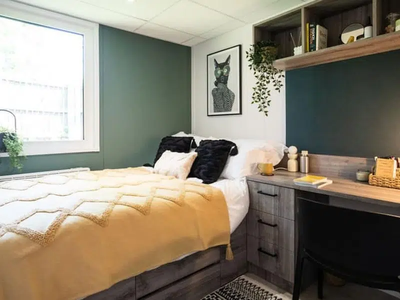 Luxury En-suite Plus photo 1