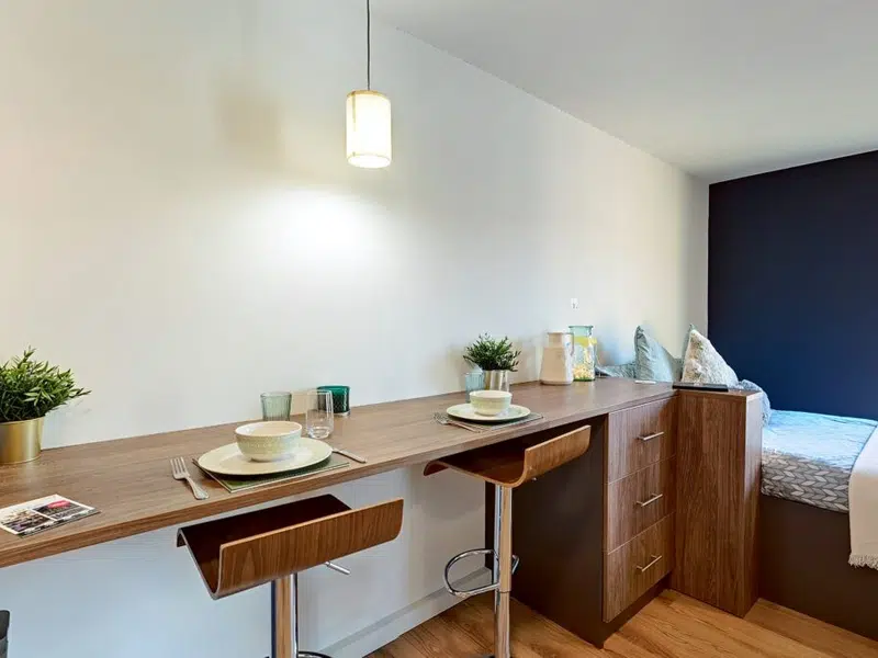 Luxury Plus Studio photo 4