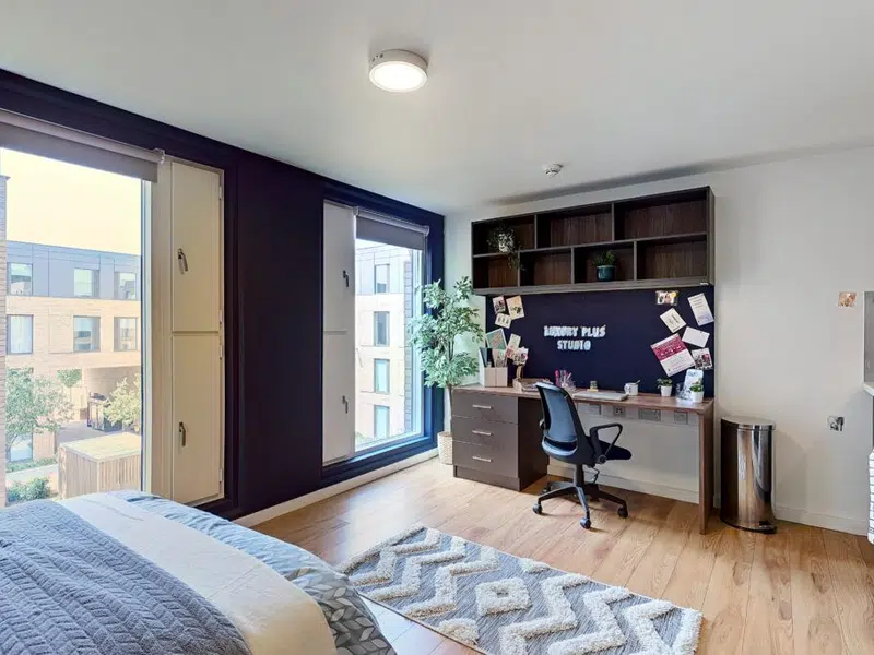 Luxury Plus Studio photo 5
