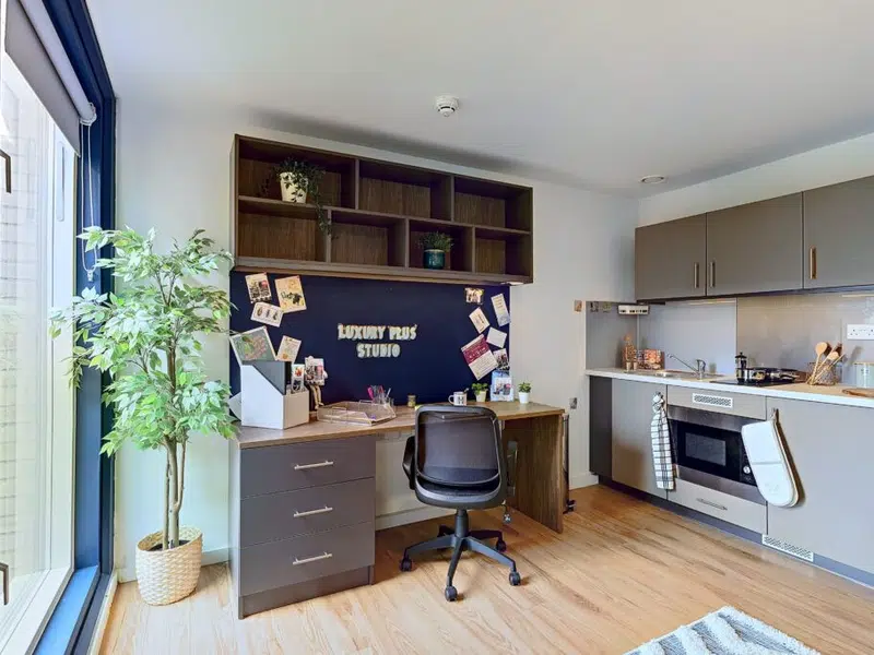 Luxury Plus Studio photo 6