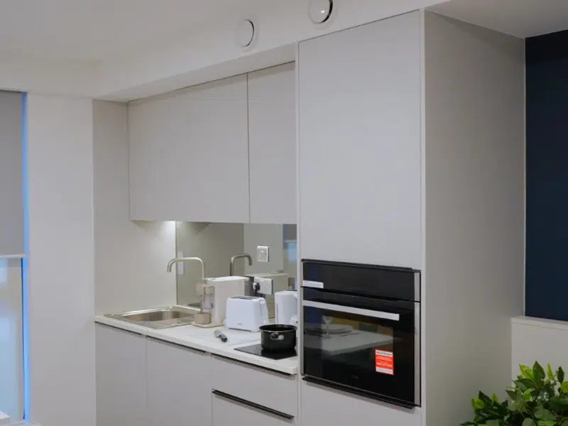 Luxury Plus Studio photo 5