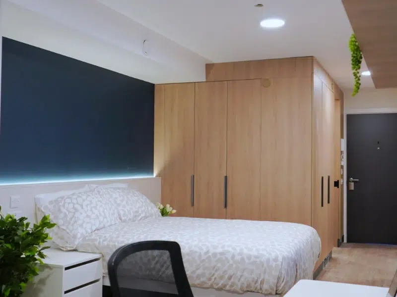 Luxury Plus Studio photo 4